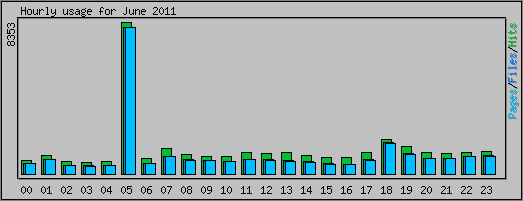 Hourly usage