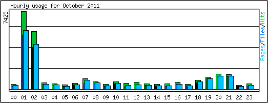 Hourly usage