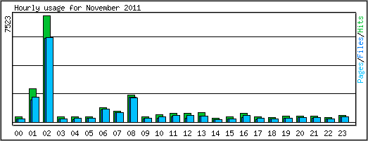 Hourly usage