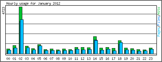 Hourly usage