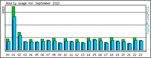 Hourly usage