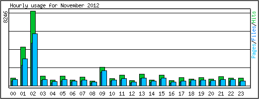 Hourly usage