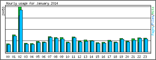 Hourly usage