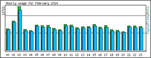 Hourly usage