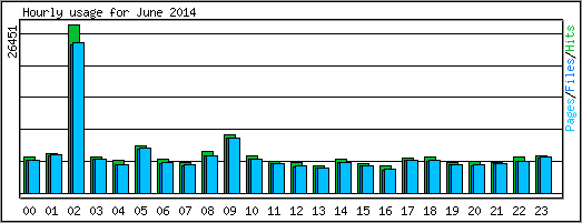 Hourly usage