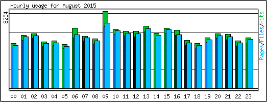 Hourly usage