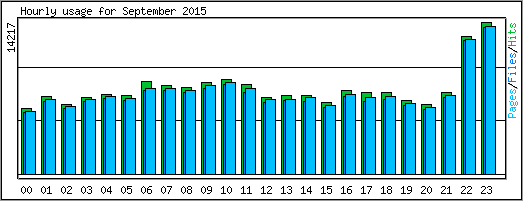 Hourly usage