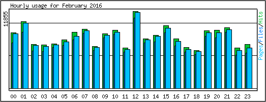 Hourly usage