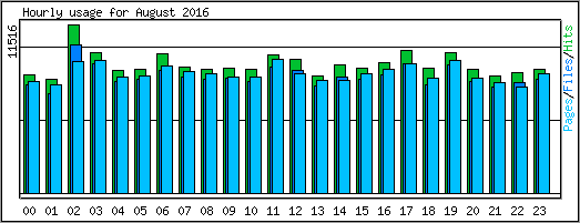 Hourly usage