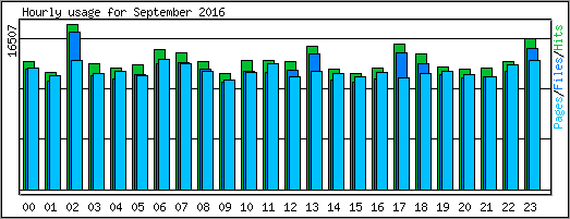 Hourly usage