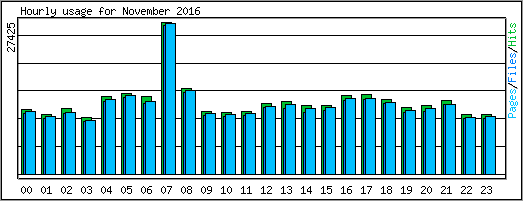 Hourly usage