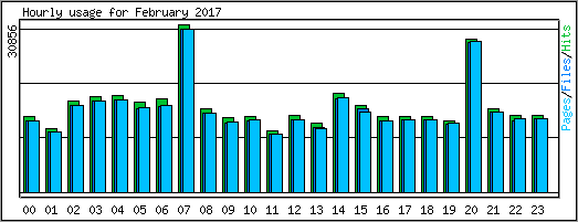 Hourly usage