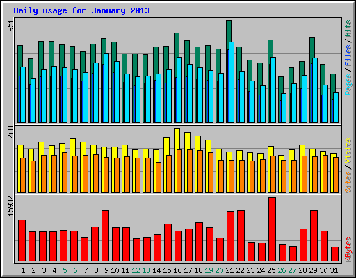 Daily usage for January 2013