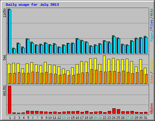 Daily usage for July 2013