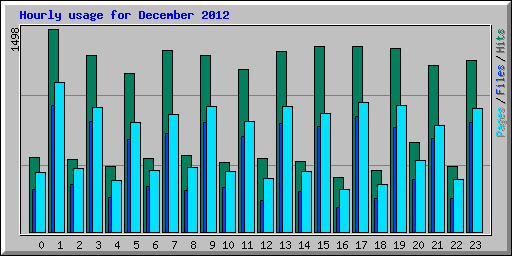 Hourly usage for December 2012