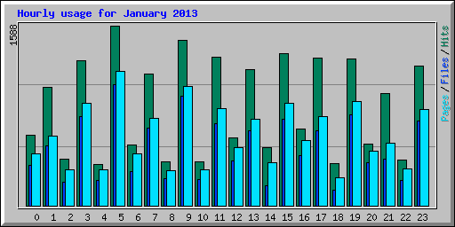 Hourly usage for January 2013