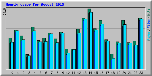 Hourly usage for August 2013