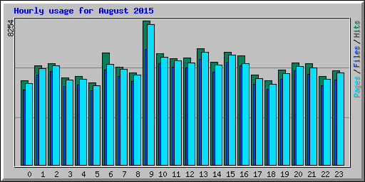 Hourly usage for August 2015