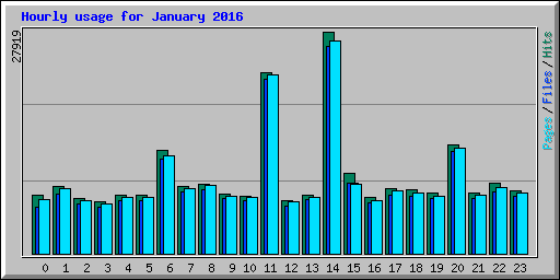 Hourly usage for January 2016