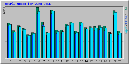 Hourly usage for June 2016