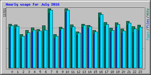 Hourly usage for July 2016