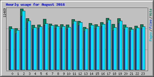 Hourly usage for August 2016