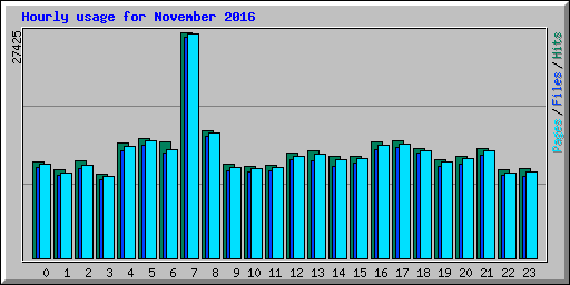 Hourly usage for November 2016
