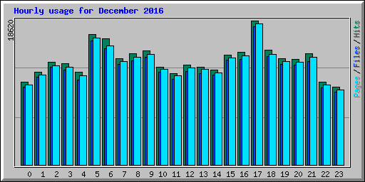 Hourly usage for December 2016