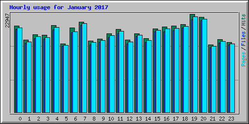 Hourly usage for January 2017